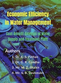 bokomslag Economic Efficiency in Water Management