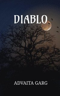 bokomslag Diablo