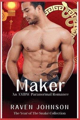 bokomslag Maker
