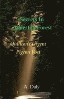 bokomslag Secrets In Anderton Forest: Quillton's Urgent Pigeon Post