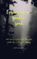 Jyoti Mishra - Echoes Of A Gentle Soul, Häftad
