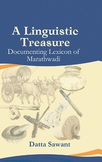 bokomslag Linguistic Treasure