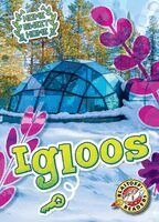 Betsy Rathburn - Igloos, Häftad