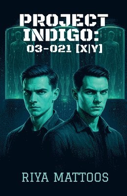 bokomslag Project Indigo