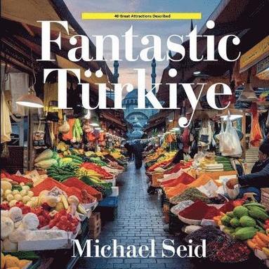 bokomslag Fantastic Turkiye
