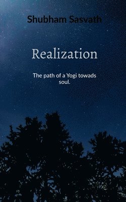 bokomslag Realization