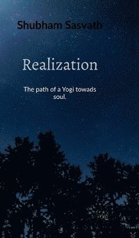 bokomslag Realization