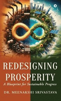 bokomslag Redesigning Prosperity