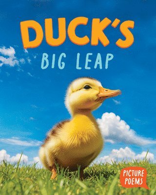 Elizabeth Clark - Duck's Big Leap, Häftad