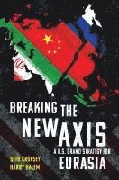 bokomslag Breaking the New Axis