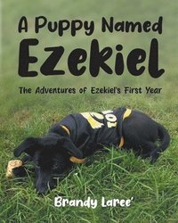 bokomslag Puppy Named Ezekiel