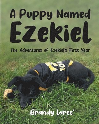bokomslag Puppy Named Ezekiel
