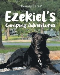 bokomslag Ezekiel's Camping Adventures