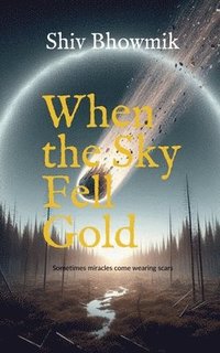 bokomslag When the Sky Fell Gold