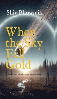 bokomslag When the Sky Fell Gold