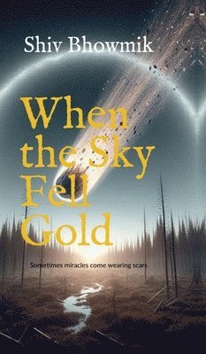 bokomslag When the Sky Fell Gold