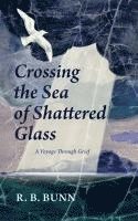 bokomslag Crossing the Sea of Glass