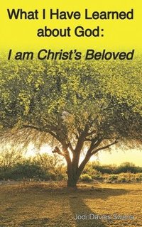 bokomslag What I Have Learned About God