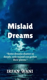 bokomslag Mislaid Dreams