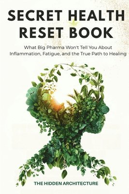 The Hidden Architecture - Secret Health Reset Book, Häftad