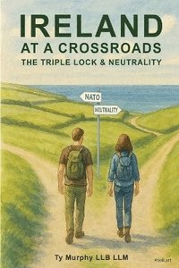 bokomslag Ireland at a Crossroads