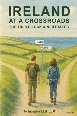 bokomslag Ireland at a Crossroads