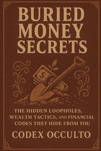 bokomslag Buried money secrets