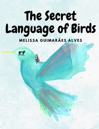 bokomslag The secret Language of Birds