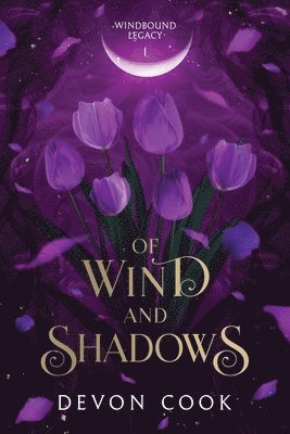 bokomslag Of Wind and Shadows
