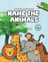 bokomslag Name the Animals: for N'Ziyla