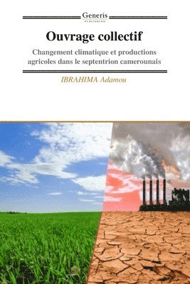 Ibrahima Adamou, IBRAHIMA Adamou - Ouvrage collectif, Häftad