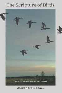 bokomslag The Scripture of Birds: A collection of poems and essays about trauma and healing