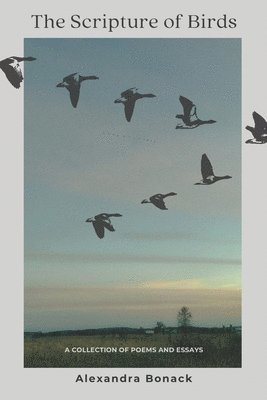 bokomslag Scripture of Birds