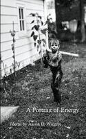 Aaron D Wiegert - Portrait of Energy, Häftad