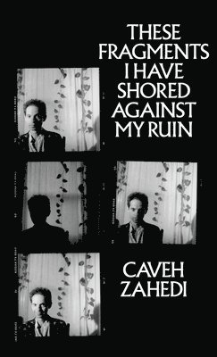 These Fragments I Have Shored Against My Ruin