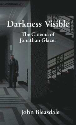 bokomslag Darkness Visible