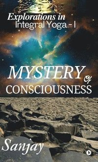 bokomslag Mystery of Consciousness