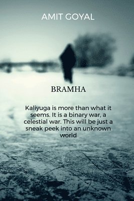 Amit Goyal - Brahma Kaliyuga is more than what it seems. It is a binary war, a celestial war. This will be just a sneak peek into an unknown world, Häftad