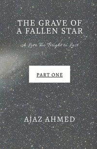 bokomslag Grave of a Fallen Star
