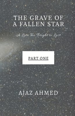 bokomslag Grave of a Fallen Star