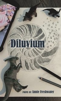 bokomslag Diluvium