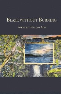 bokomslag Blaze without Burning