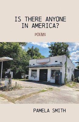 Pamela Smith - Is There Anyone in America?, Häftad