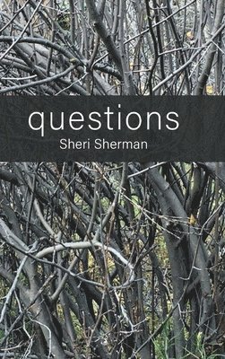 bokomslag questions