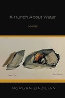 bokomslag A Hunch About Water
