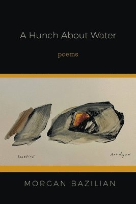 Hunch About Water