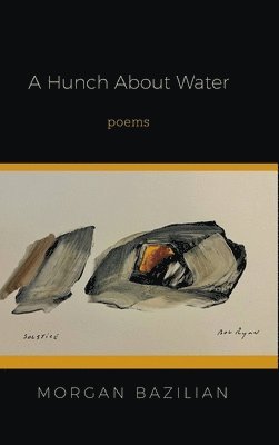 Morgan Bazilian - Hunch About Water, Inbunden