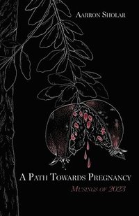 bokomslag Path Towards Pregnancy