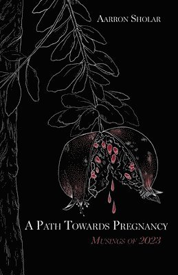 bokomslag Path Towards Pregnancy