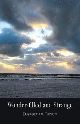 Elizabeth A Gibson, Elizabeth A. Gibson, Elizabeth  A. Gibson - Wonder-filled and Strange, Häftad